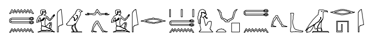 term image