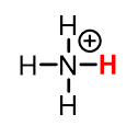 <p>NH<sub>4</sub><sup>+</sup><sub><sup> </sup></sub>(ammonium)</p>