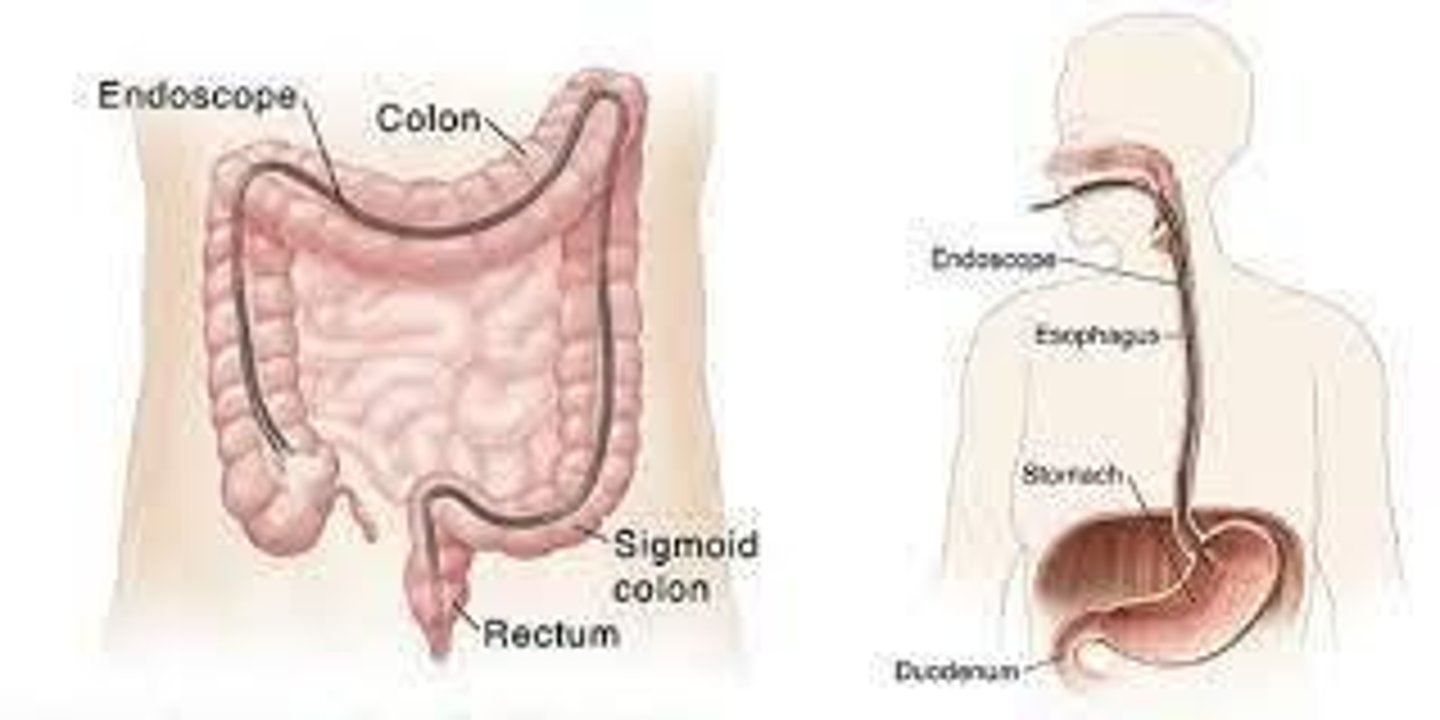 <p>It is used for diagnosis.</p>