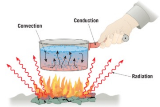 <ul><li><p>Measure of average kinetic energy </p></li><li><p>Heat is transferred from warmer to cooler with conduction, convection, and radiation</p></li></ul><p></p>