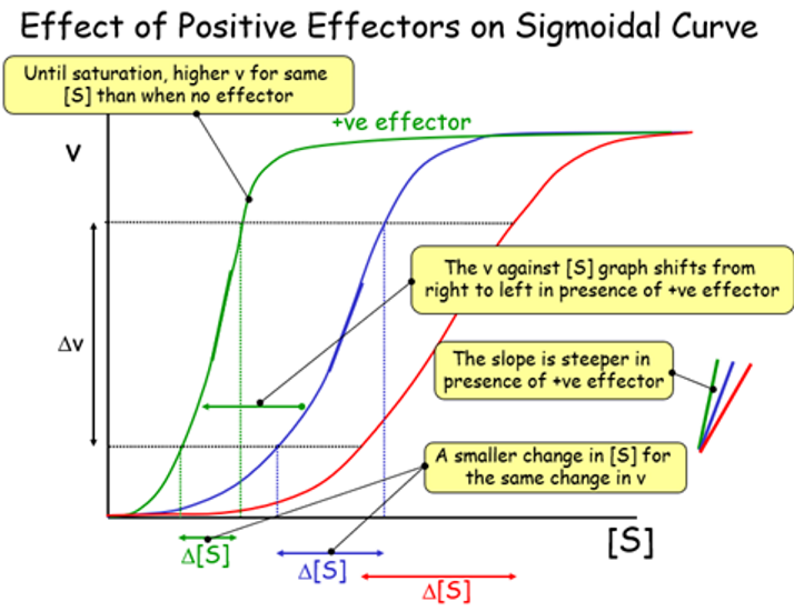 <p>move s curve left </p>