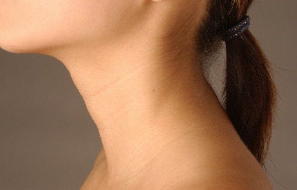 neck; throat