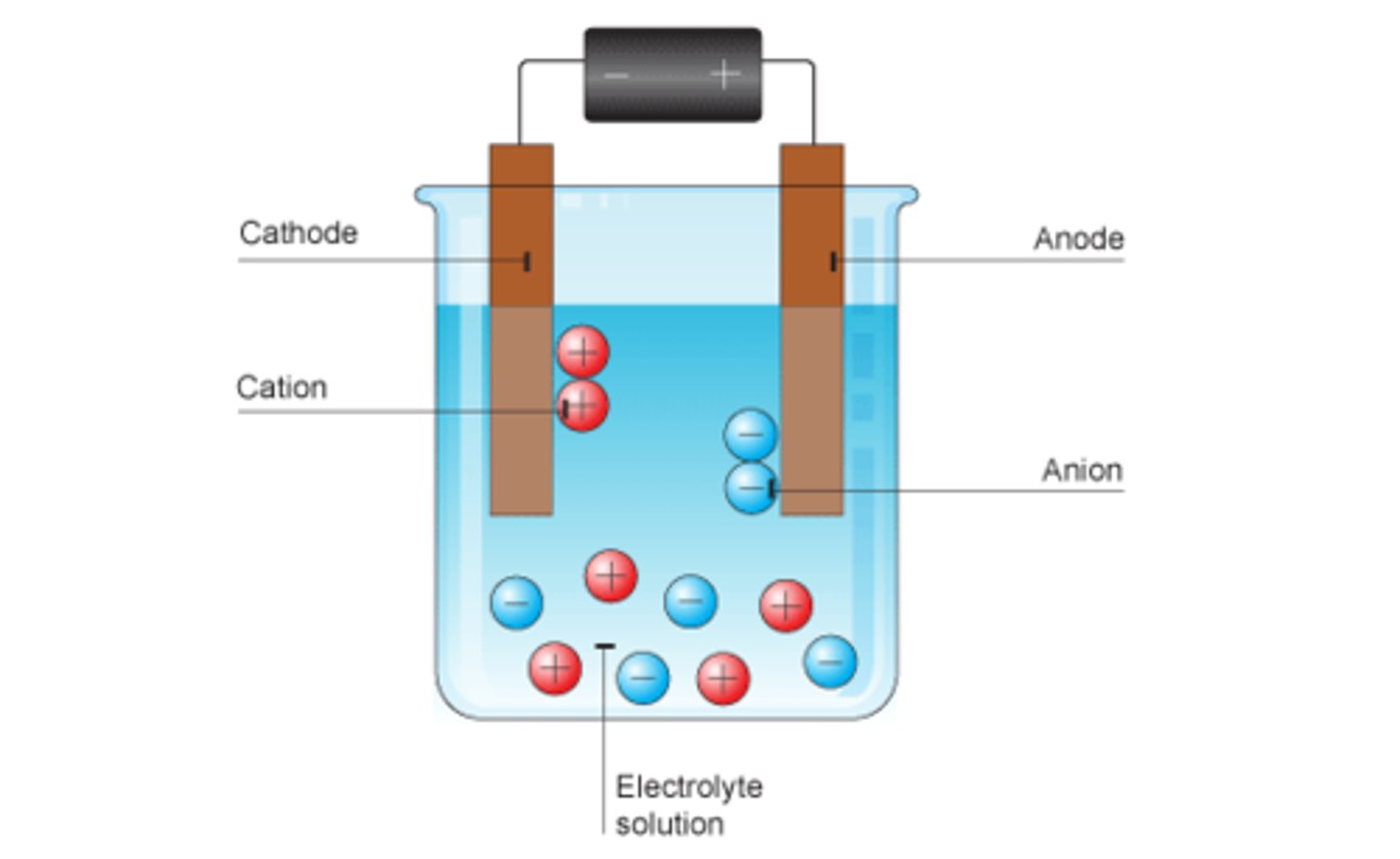 <p>Anode</p>