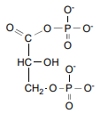<p>1,3- Biphosphoglycerate (BPG) &amp; NADH (2)</p>