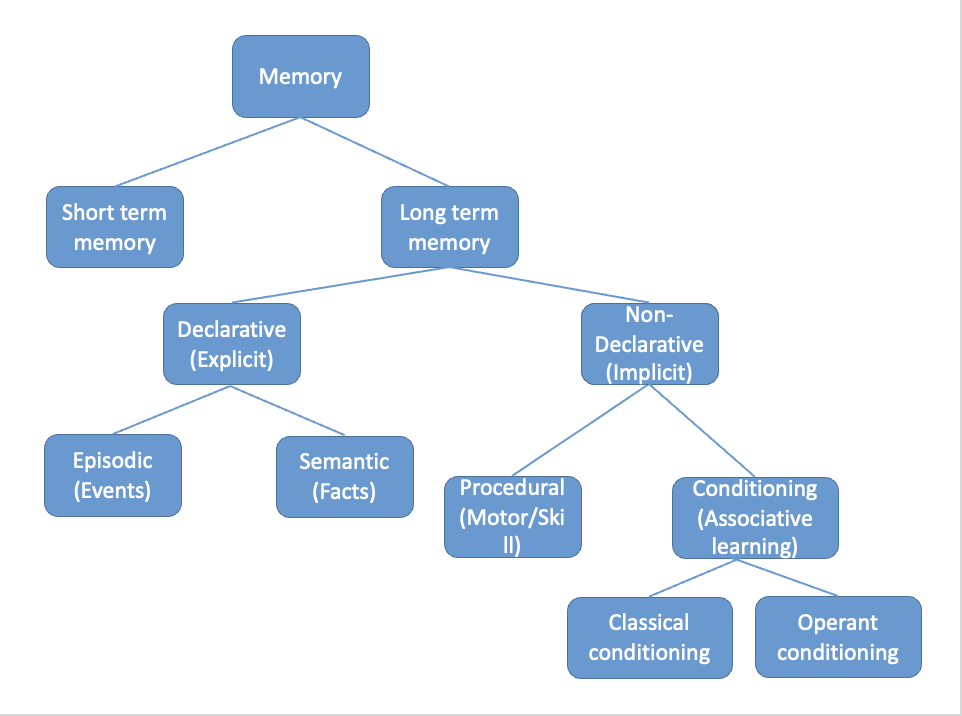 <p>short vs long term </p>