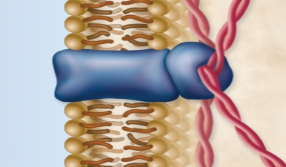 <p>This is a what doing what? </p>