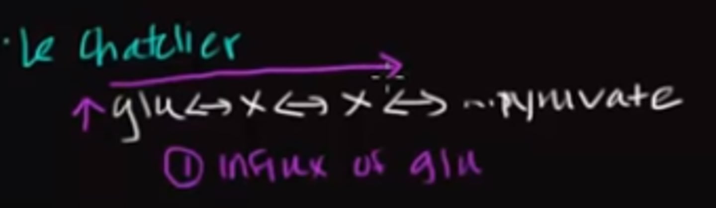 <p>If the concentration of glucose increased within a cell, the rate of glycolysis would increase and the rate of gluconeogenesis would decrease.</p><p>Struggling to memorize the metabolic pathways (such as glycolysis and beta-oxidation)? Learn them like the back of your hand using Andrew's Metabolic Pathways Mastery Course @ https://mcatselfprep.com/course/andrews-metabolic-pathways-mastery-course/</p>