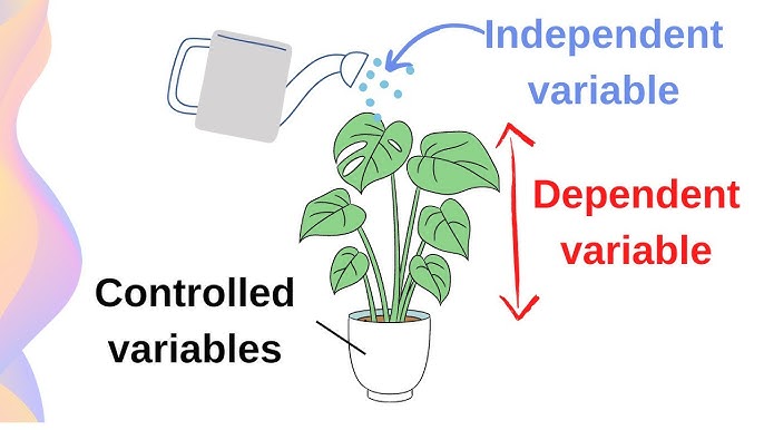 <p>Dependent Variable</p>
