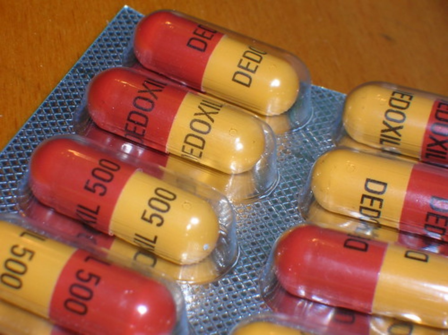 <p>antibiotic</p>