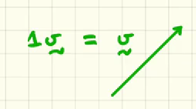 <p>if v (1v) is the vector in the image, this means that his “scalar coefficient is 1”… what graphically would be a vector like 2v?</p>