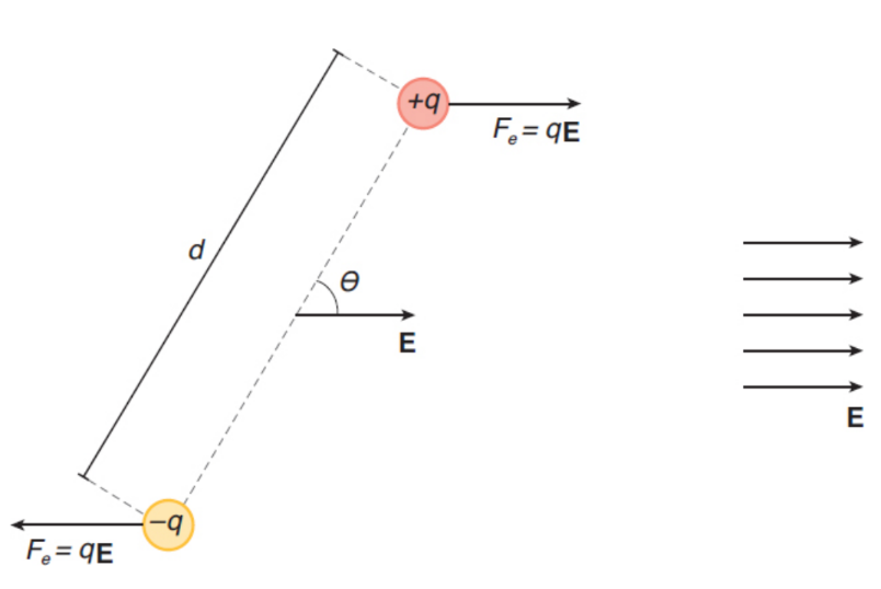 <p>τ = pE sin θ</p><p>where p is the magnitude of the dipole moment (p = qd), E is the magnitude of the uniform external electric field, and θ is the angle the dipole moment makes with the electric field.</p>