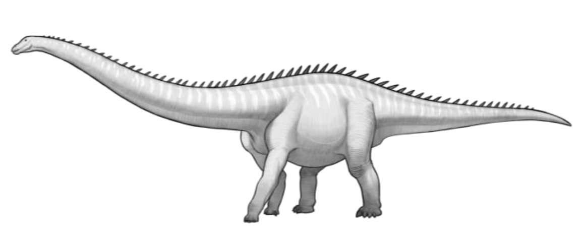 <p>Sauropomorphs</p>