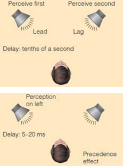 <p>Precedence Effect </p>