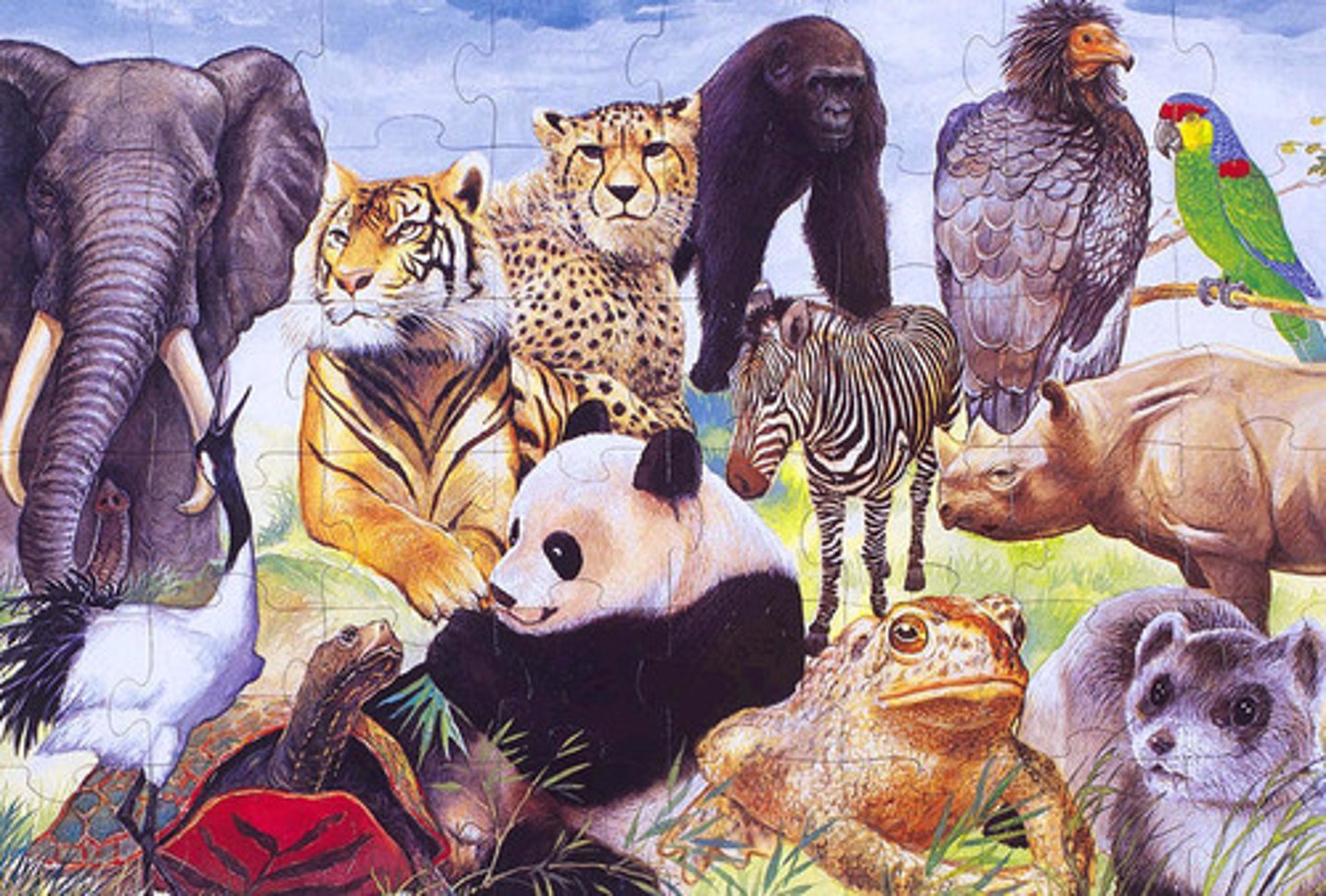 <p>in danger of extinction</p>