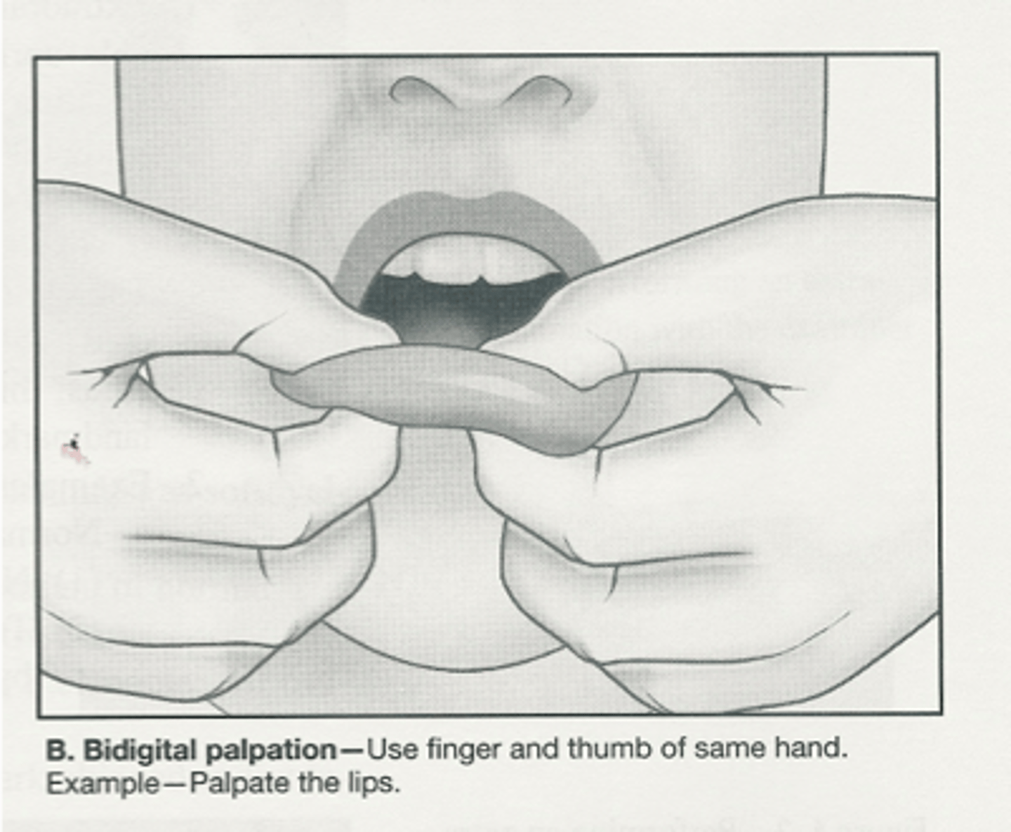 <p>Use of one or</p><p>more fingers and</p><p>thumb to move or</p><p>compress tissue such as</p><p>cheeks, tongue, lips</p>