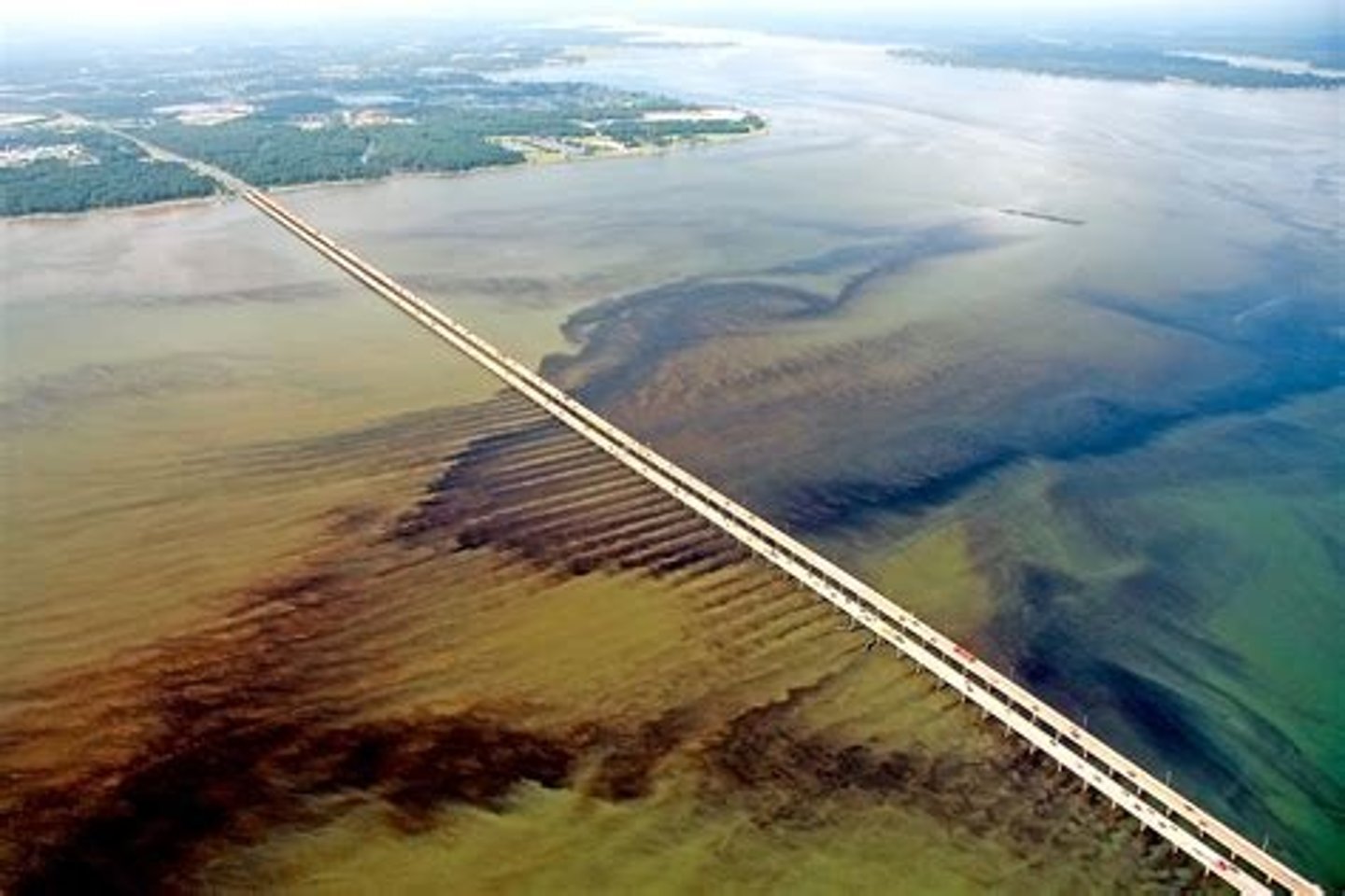 <p>. chemical contamination</p><p>. eutrophication</p><p>. sediment trapping</p><p>. substrate stabilization</p><p>. collapse of historically important fisheries</p>