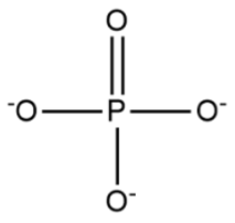<p>Phosphate Group</p>