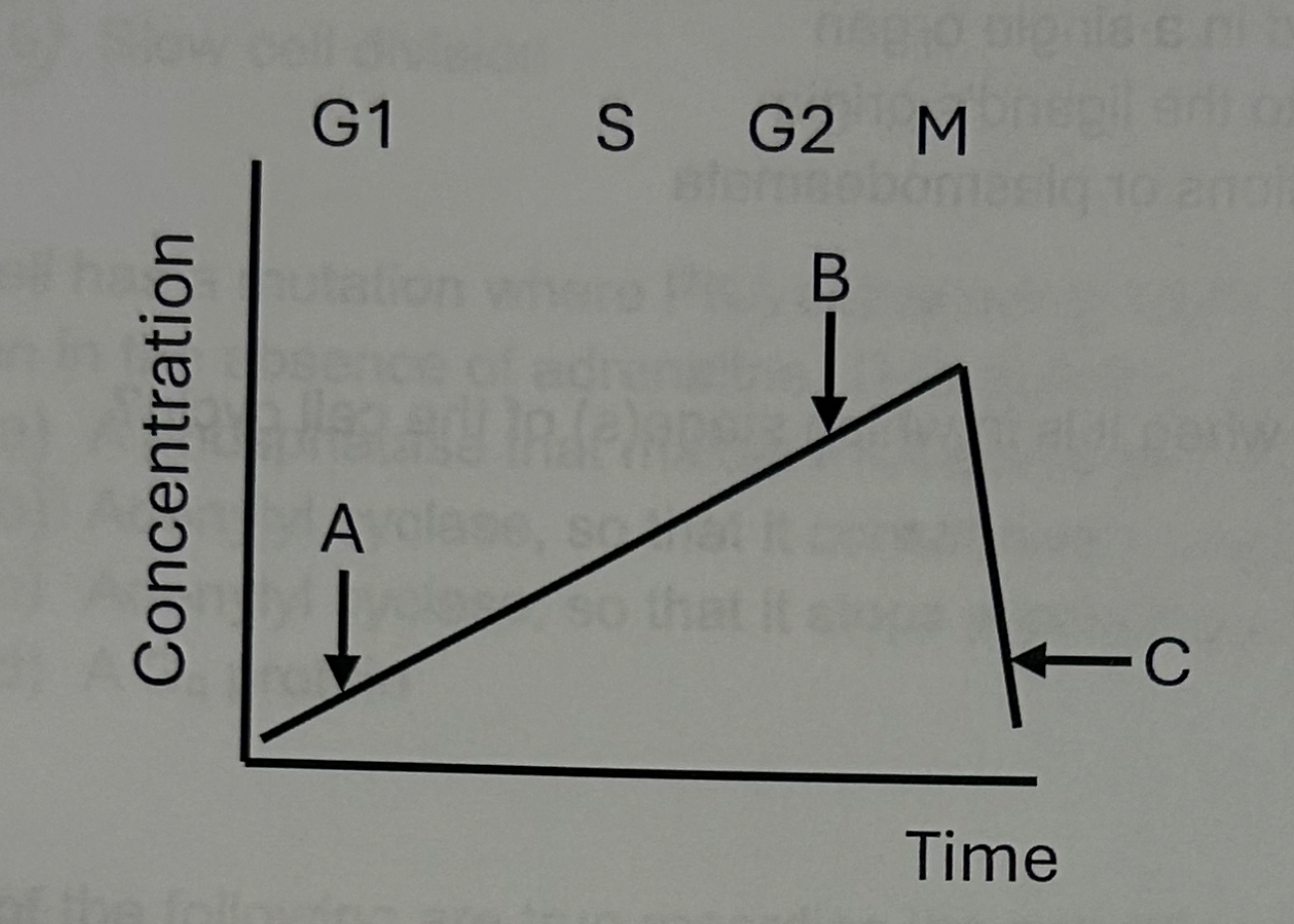 <p><span>What would need to be true for division to move past this checkpoint (not including previous checkpoints)?</span></p>