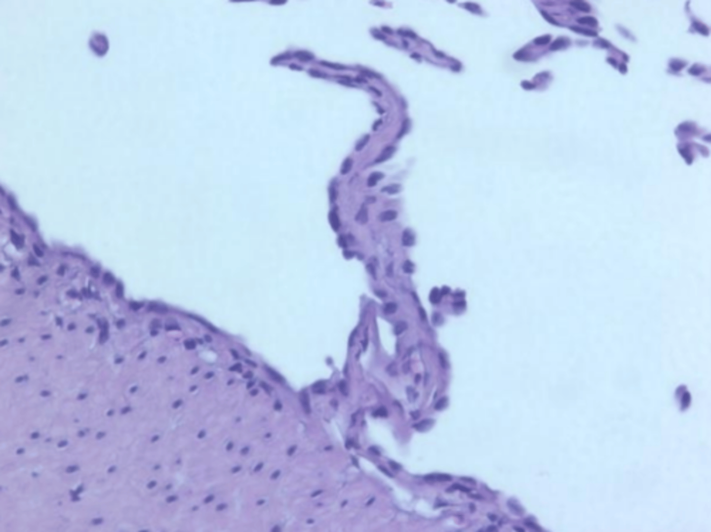 <p>what is depicted in the image?</p>