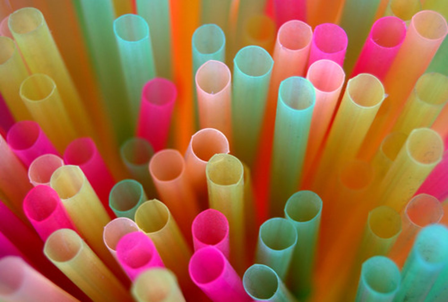 <p>Straw</p>