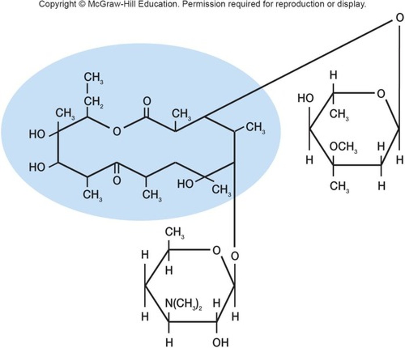 <p>True antibiotic from Saccharopolyspora, a macrolide.</p>