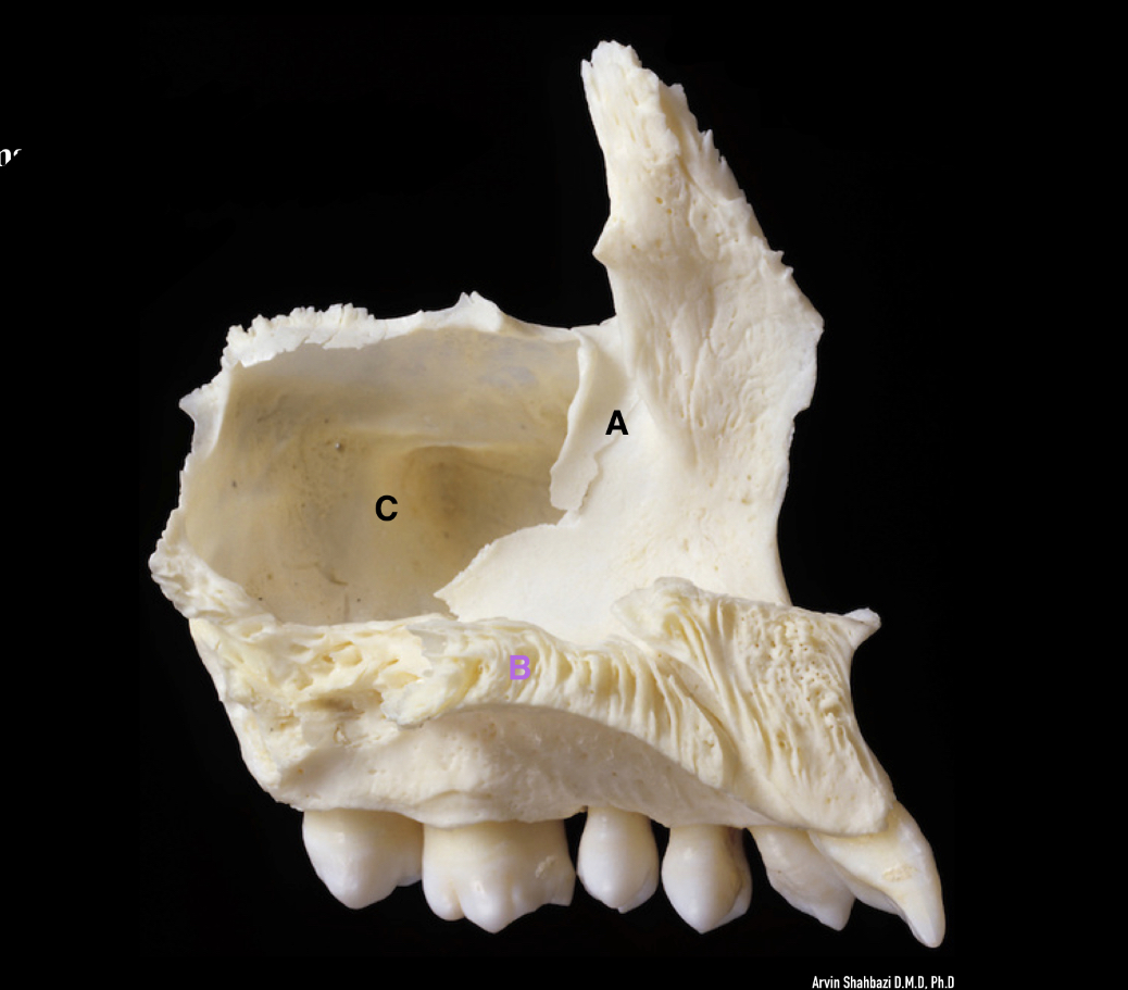 <p>name the labelled parts </p>