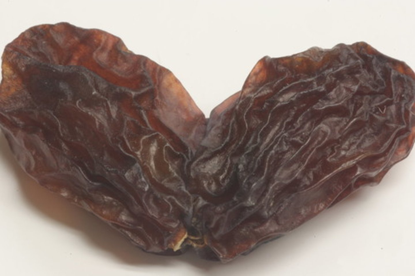 <p>raisin</p>