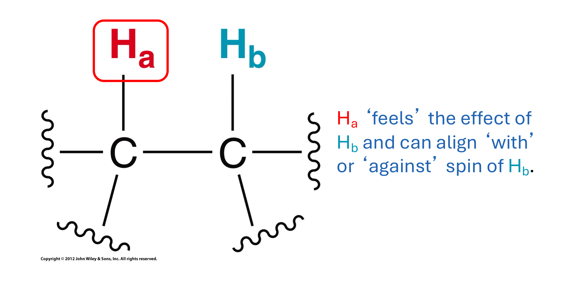 <ul><li><p><strong>Spin-spin coupling:</strong> Interaction between neighbouring, non-equivalent protons, causing their magnetic fields to influence each other. This splits NMR signals into multiple peaks.</p></li><li><p><strong>Multiplicity</strong>: The number of peaks a signal splits into due to spin-spin coupling. It's determined by the n+1 rule, where n is the number of neighbouring protons.</p></li></ul><p></p>