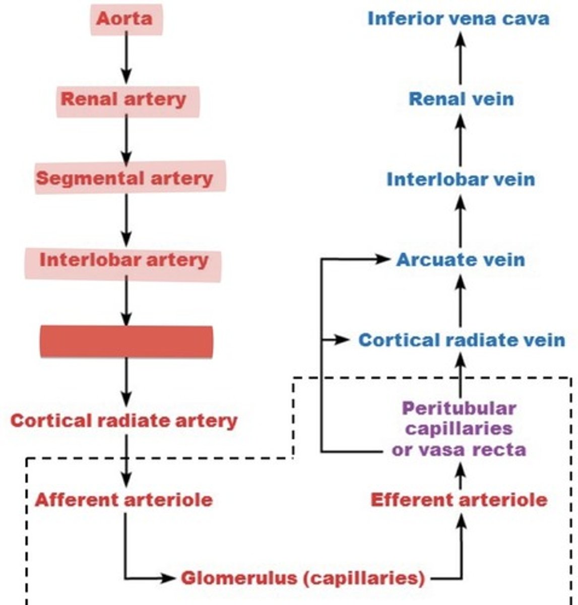 <p>What is this?</p>