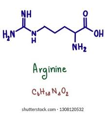 <p><strong>CH2</strong> - CH2 - CH2 - NH - C - NH2+ and NH2</p>