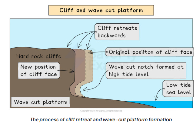 <p>How do cliffs and wave-cut platforms form?</p>