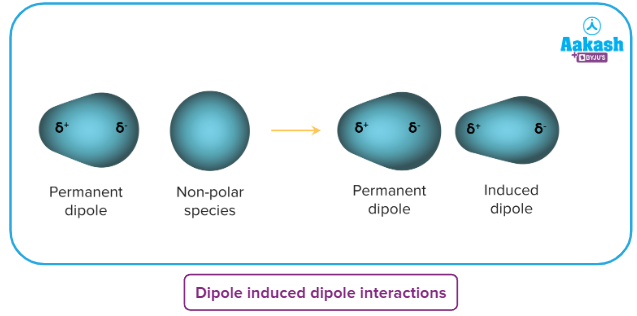 <ul><li><p>Similar to ion-induced dipole, but these rely on the <strong>dipole in a polar species inducing a dipole</strong> in a non-polar species.</p></li><li><p>They are&nbsp;<strong>much weaker still.</strong></p></li><li><p>Despite their weakness, they are&nbsp;<strong>important for all life</strong>.</p><ul><li><p>A crucial example is the dissolution of non-polar oxygen in water, which is necessary for aerobic life.</p></li></ul></li></ul><p></p>