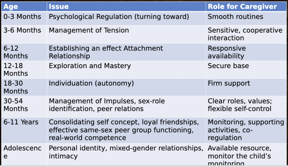 <p>0-3 months - psychological regulation </p><p>3-6 months - management of tension </p><p>6-12 months - establishing an effect attachment relationship</p><p>12-18 months - exploration and mastery </p><p>18-30 months - individuation (autonomy) </p><p>30-54 months - management of impulses, sex-role identification, peer relations </p><p>6-11 years - consolidating self concept, loyal friendships, effective same-sex peer group functioning, real-word competence </p><p>adolesence - personal identity, mixed gender relationships, intimacy </p>