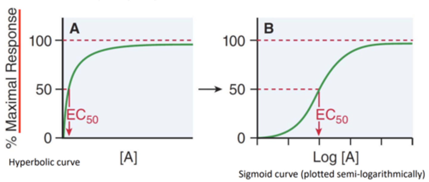 <p>effective concentration of agonist for 50% of the maximal response </p>