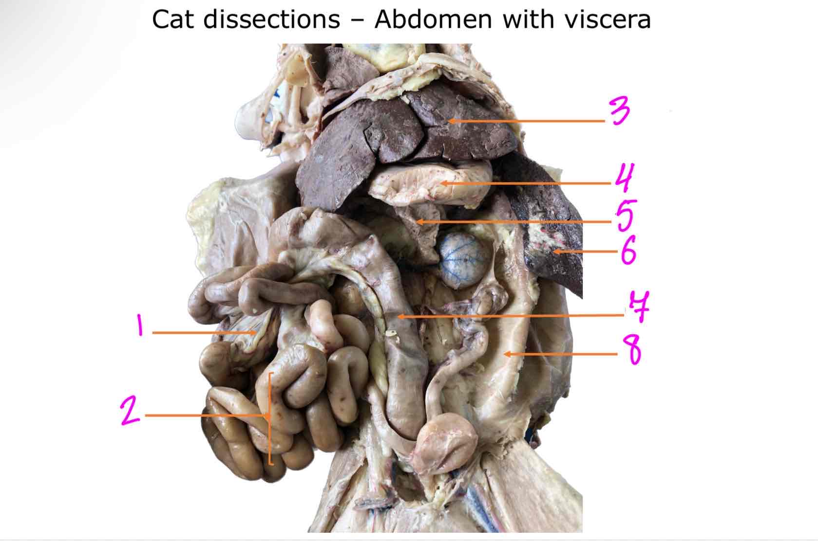 <ol><li><p></p></li><li><p></p></li><li><p></p></li><li><p></p></li><li><p></p></li><li><p></p></li><li><p></p></li><li><p></p></li></ol>