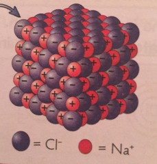 consists of alternating units of positive and negative ions in a rigid arrangement called a crystal lattice structure (no single unit of an ionic compound, they exist as a giant, endlessly repeating lattice of ions)