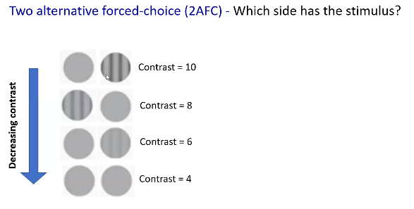 <p>smallest difference between two stimuli that can be detected - the ‘just-noticeable difference’ (JND)</p>