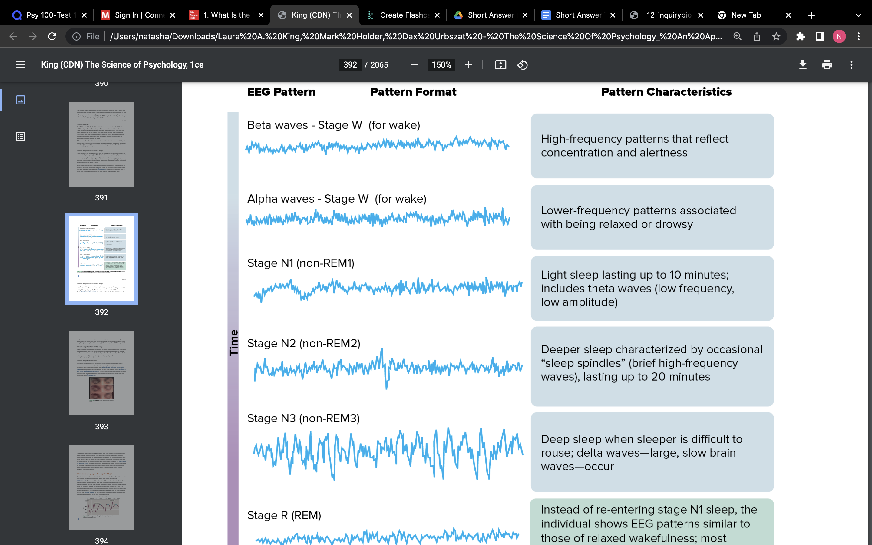 - Stage W
- Stage N1 (Non-REM1) 
- Stage N2 (Non-REM2)
- Stage N3 (Non-REM3)
- Stage R (REM) Sleep?