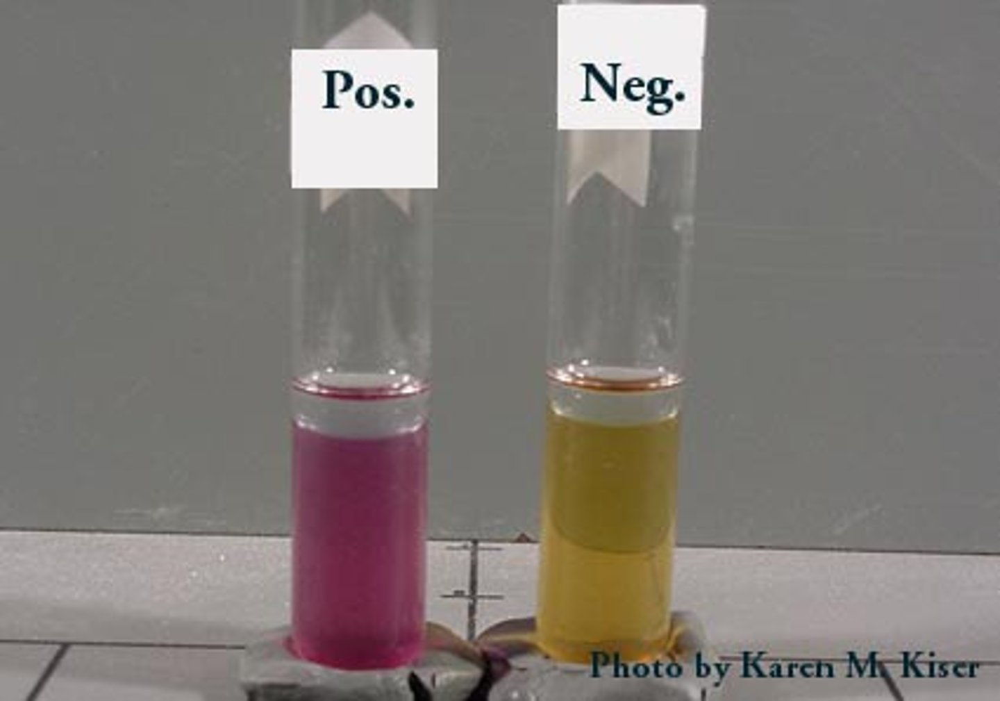 <p>negative, positive</p>