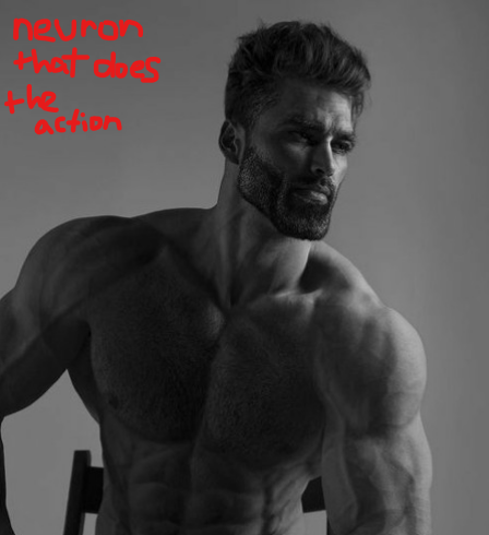 \
take info from brain to rest of body / carry OUTGOING info from CNS to muscles + glands (87)