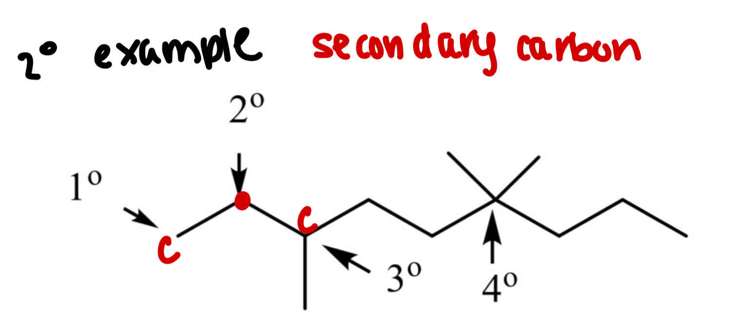 <p>A carbon bonded to<strong> 2 other carbons </strong></p>