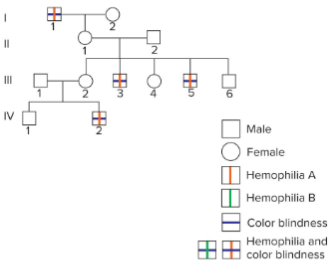 <p>Hemophilia A and colour blindness are distinct traits, but both genes are located on the X chromosome.</p><p>For independently assorting genes, we would expect inheritance of hemophilia causing alleles to be independent of inheritance of colour blindness causing alleles.<br>But individuals in this pedigree always have either both traits or neither trait.</p>