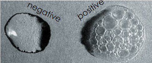 <p>Some microorganisms produce catalase</p><p>H2O2 + H2O2 → 2H2O + O2</p>