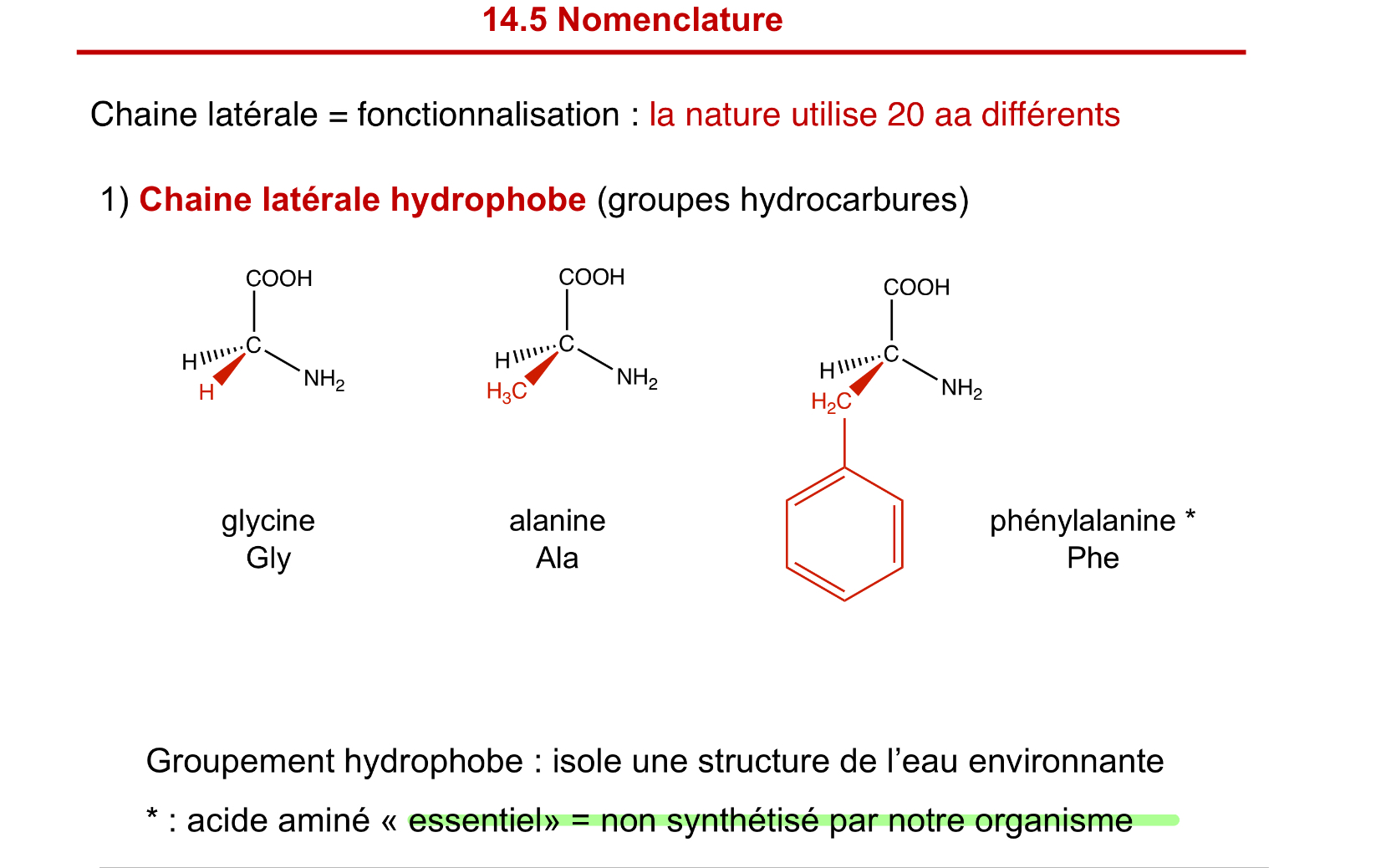 <p>glycine, alanine, phénylalanine</p>