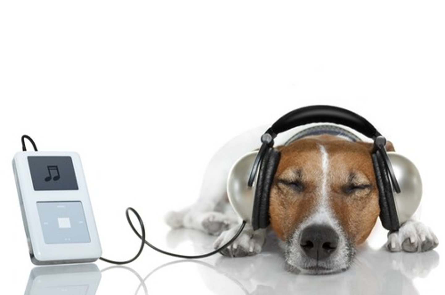 <p>Listen to music.</p>