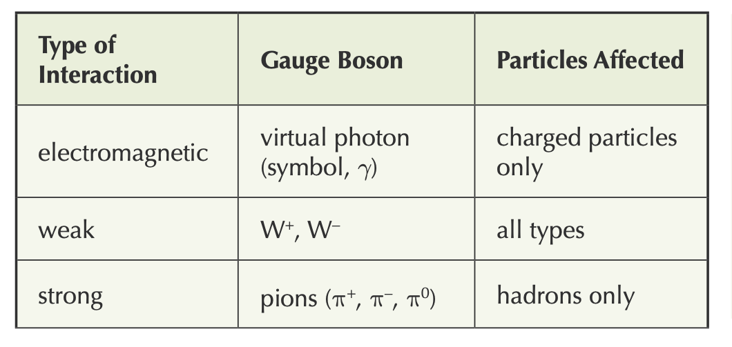 <p>Gauge bosons: Each fundamental interaction is transmitted by its own exchange particle</p>