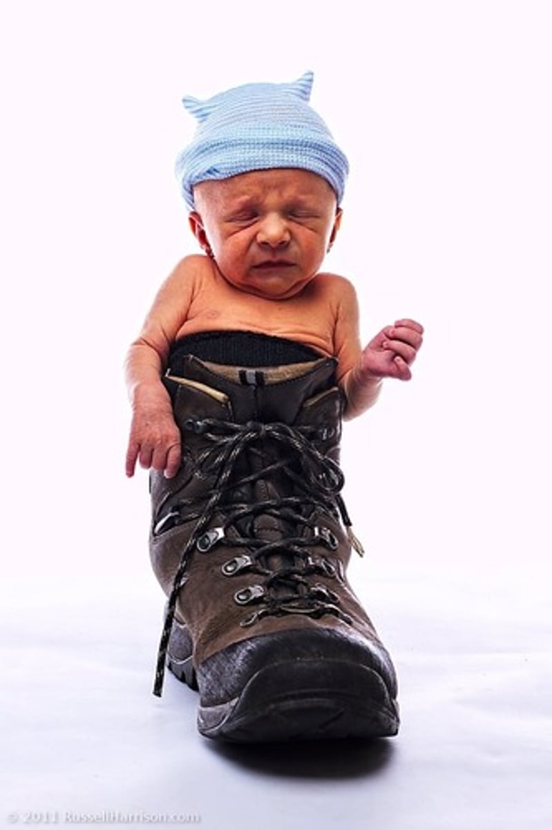 <p>30 million war babies were born between 1942 and 1950.</p>