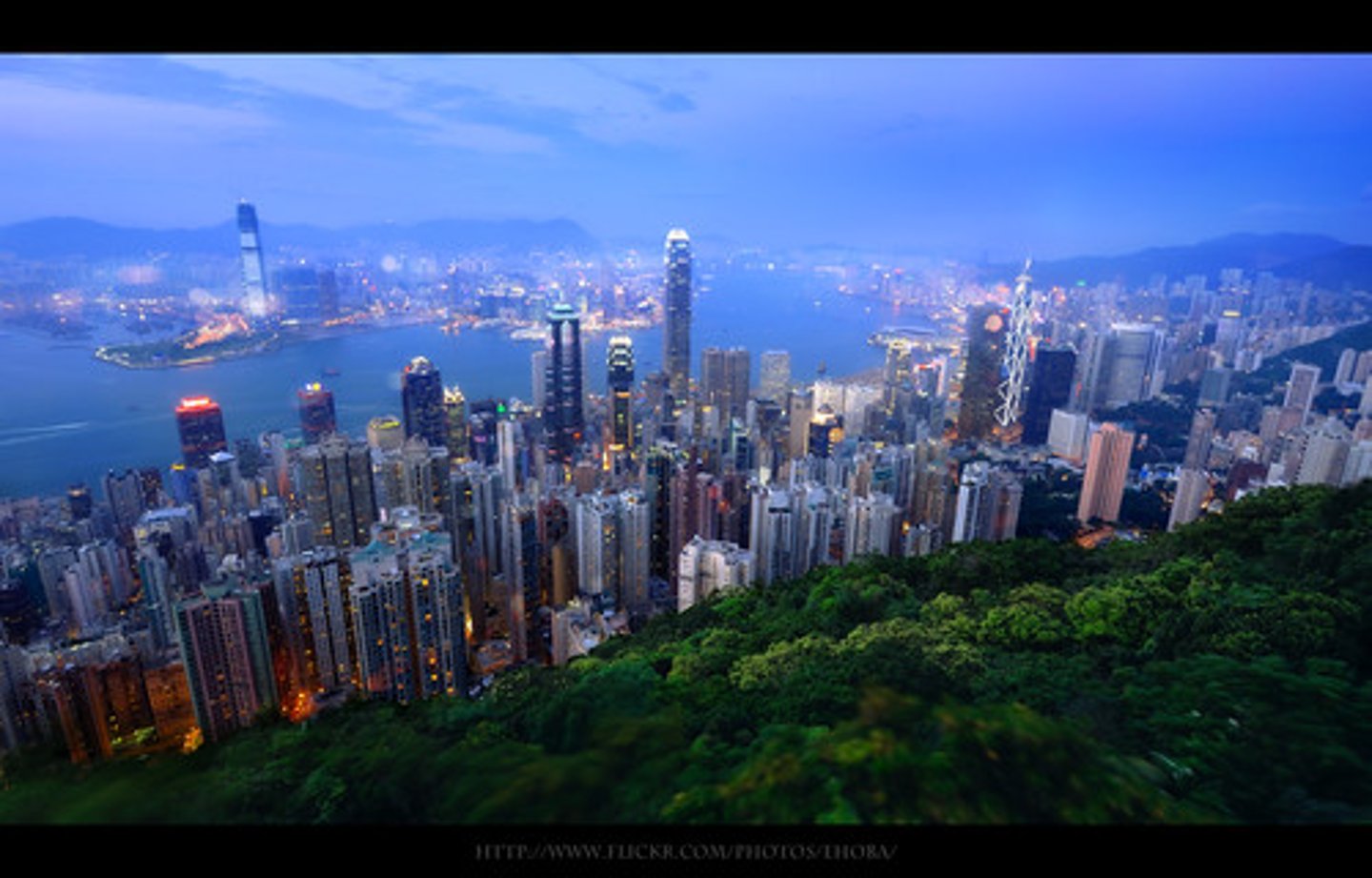 <p>the city</p>