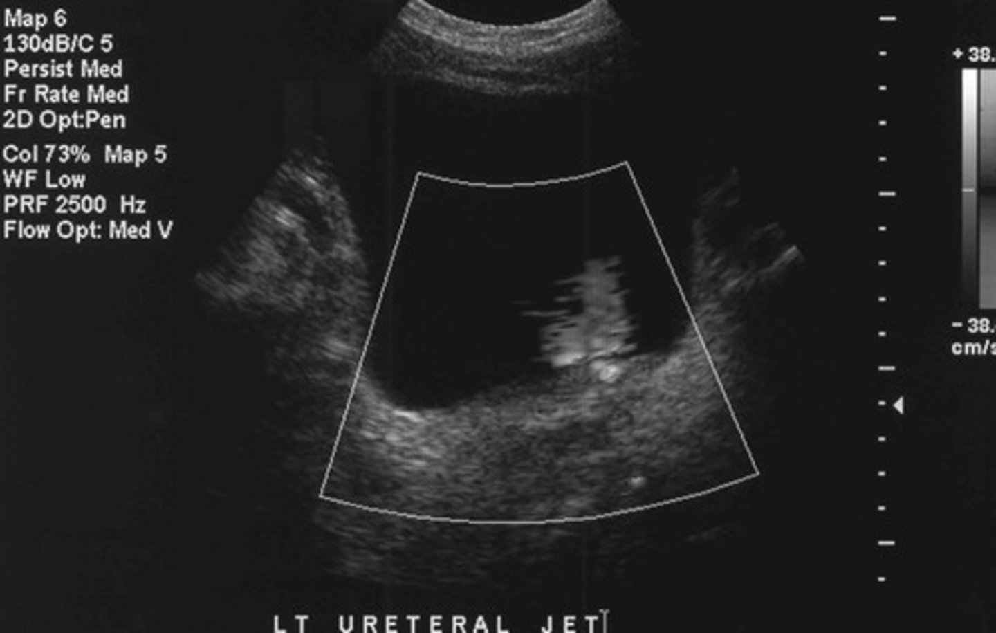 <p>What does this image show</p>