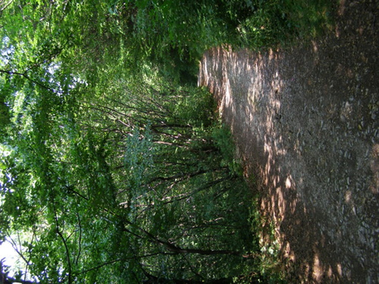 <p>những con đường mòn nhiều lối đi do người ta đi nhiều nên thành đường</p><p>(con đường nhiều lối quanh co)</p>